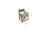 Zircon Teak Director Chair – Piquant Green - 1 Piece