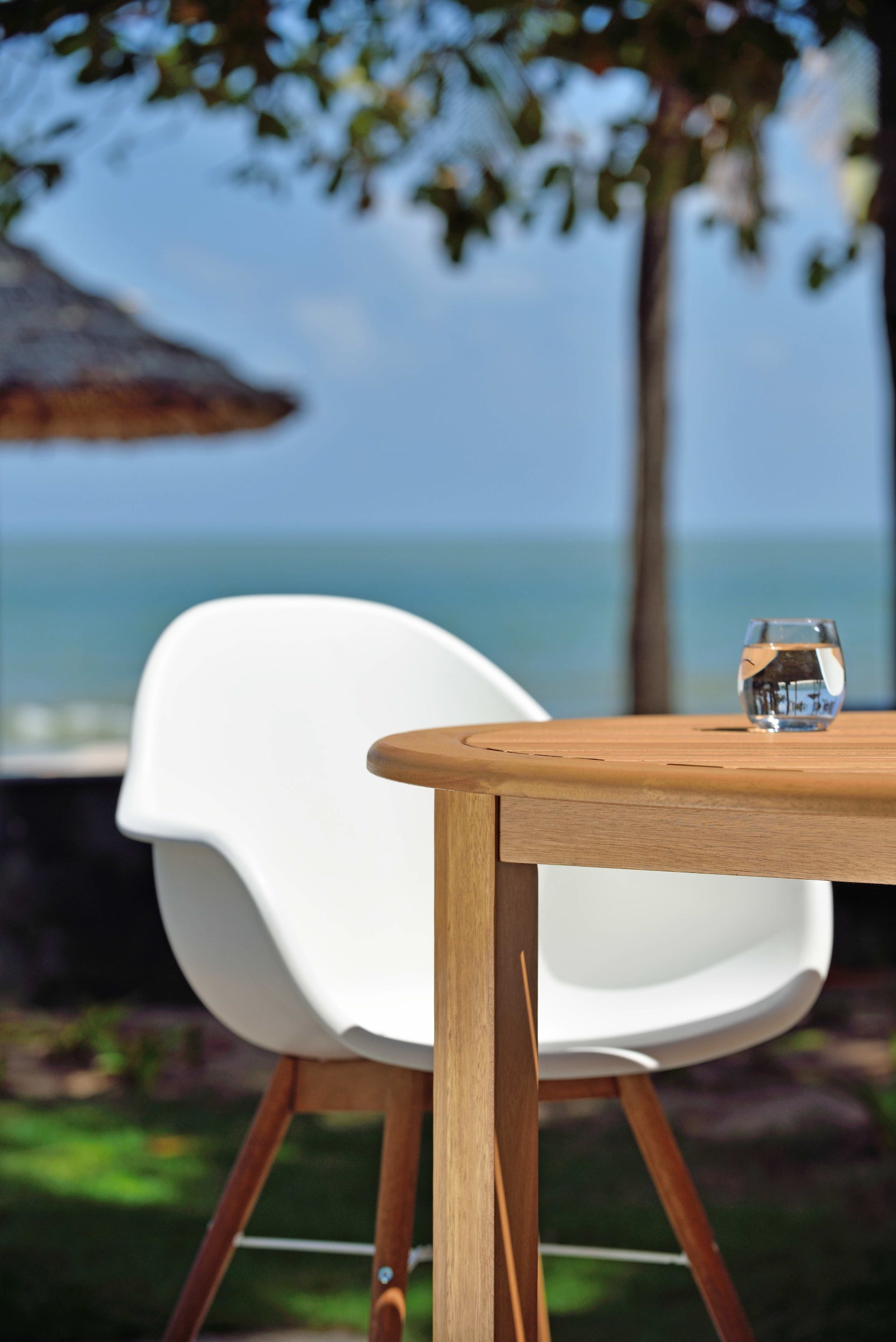 White carver chair on sale